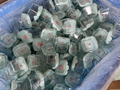 寧波佰仕匯 探索日用百貨銷售新路徑，打造便捷生活新體驗