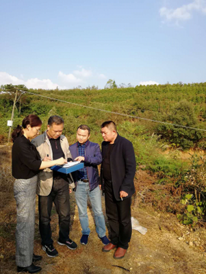 岳陽(yáng)審計(jì)局開(kāi)發(fā)區(qū)分局嚴(yán)把環(huán)保督查項(xiàng)目復(fù)核關(guān)